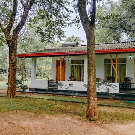 Banana Rest Sigiriya Bed & Breakfast Exterior photo