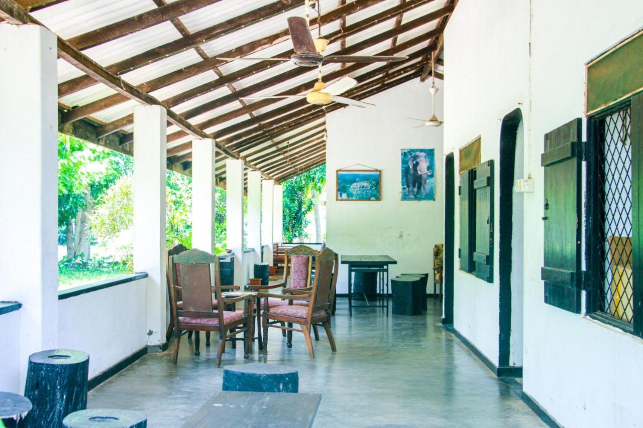 Banana Rest Sigiriya Bed & Breakfast Exterior photo