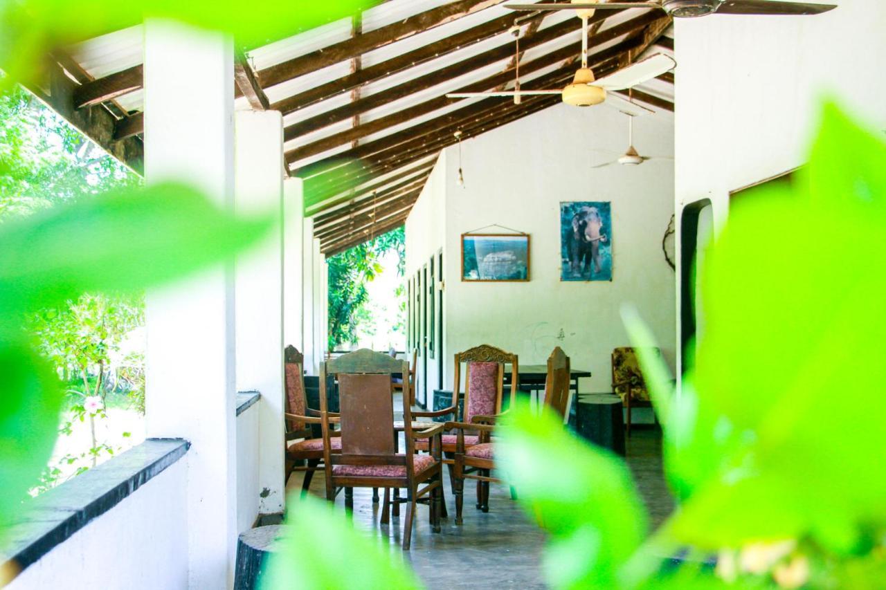 Banana Rest Sigiriya Bed & Breakfast Exterior photo