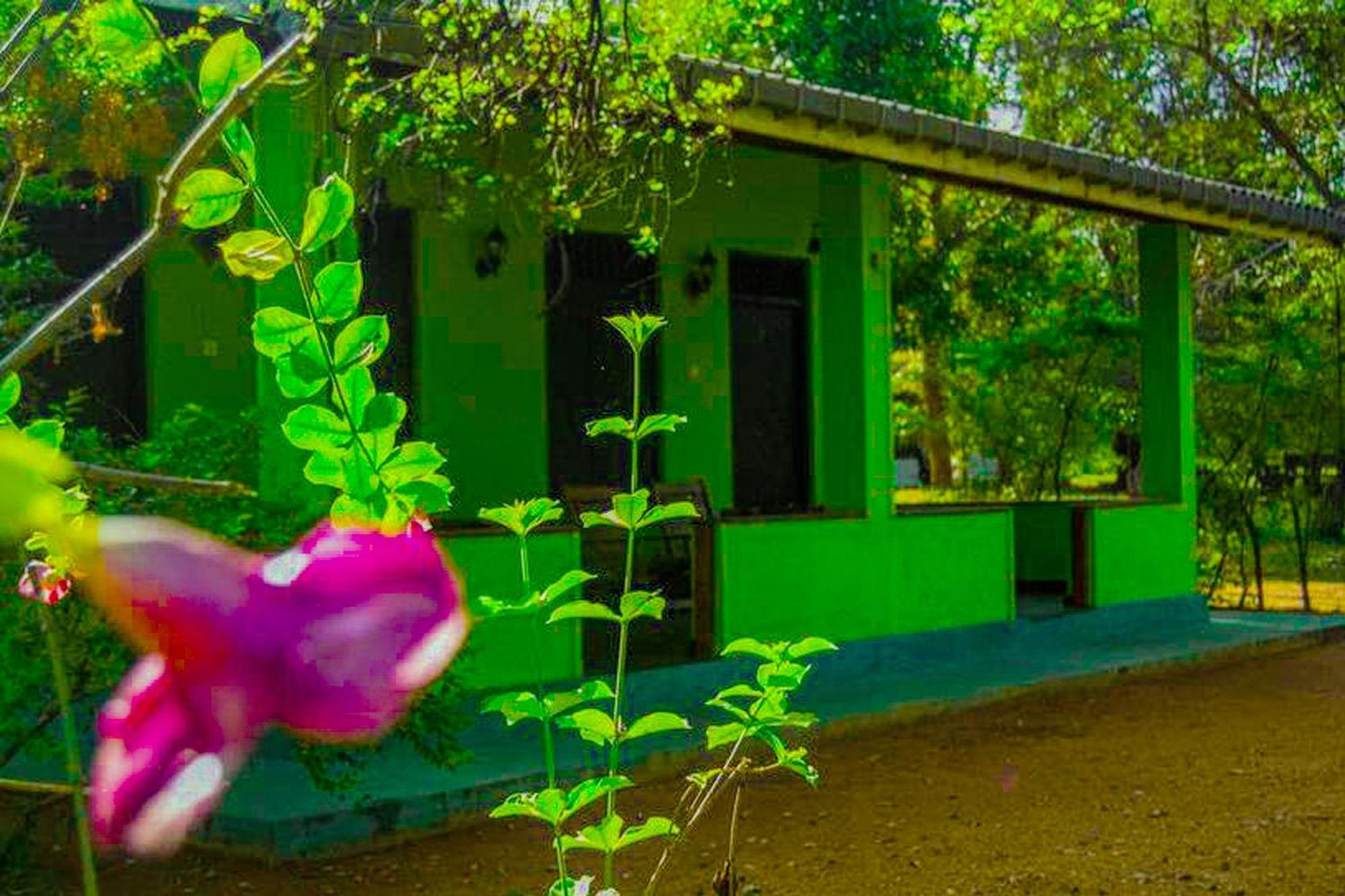 Banana Rest Sigiriya Bed & Breakfast Exterior photo