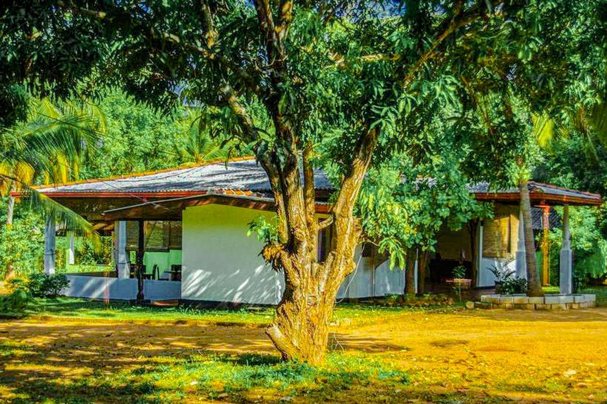 Banana Rest Sigiriya Bed & Breakfast Exterior photo