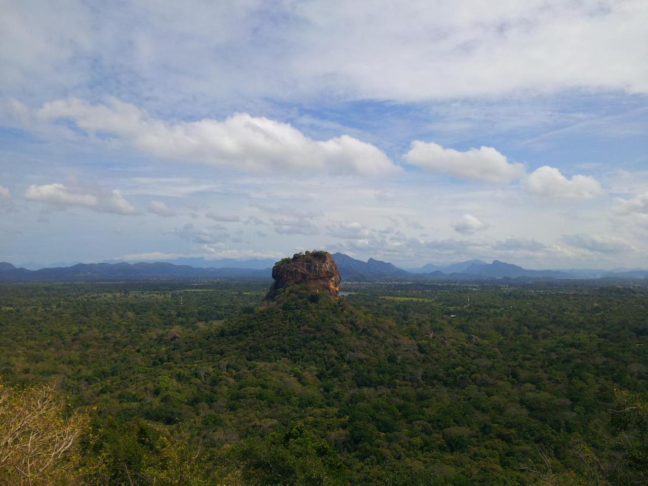 Banana Rest Sigiriya Bed & Breakfast Exterior photo