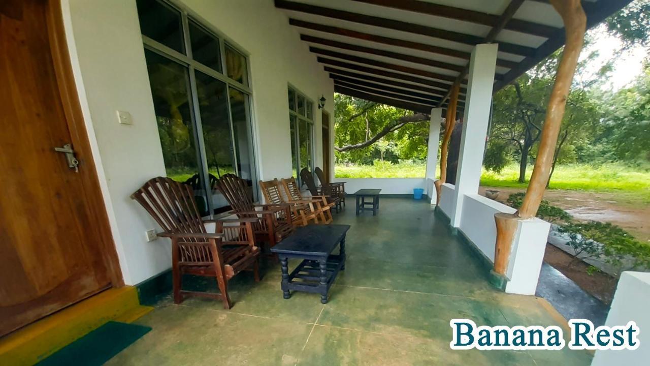 Banana Rest Sigiriya Bed & Breakfast Exterior photo