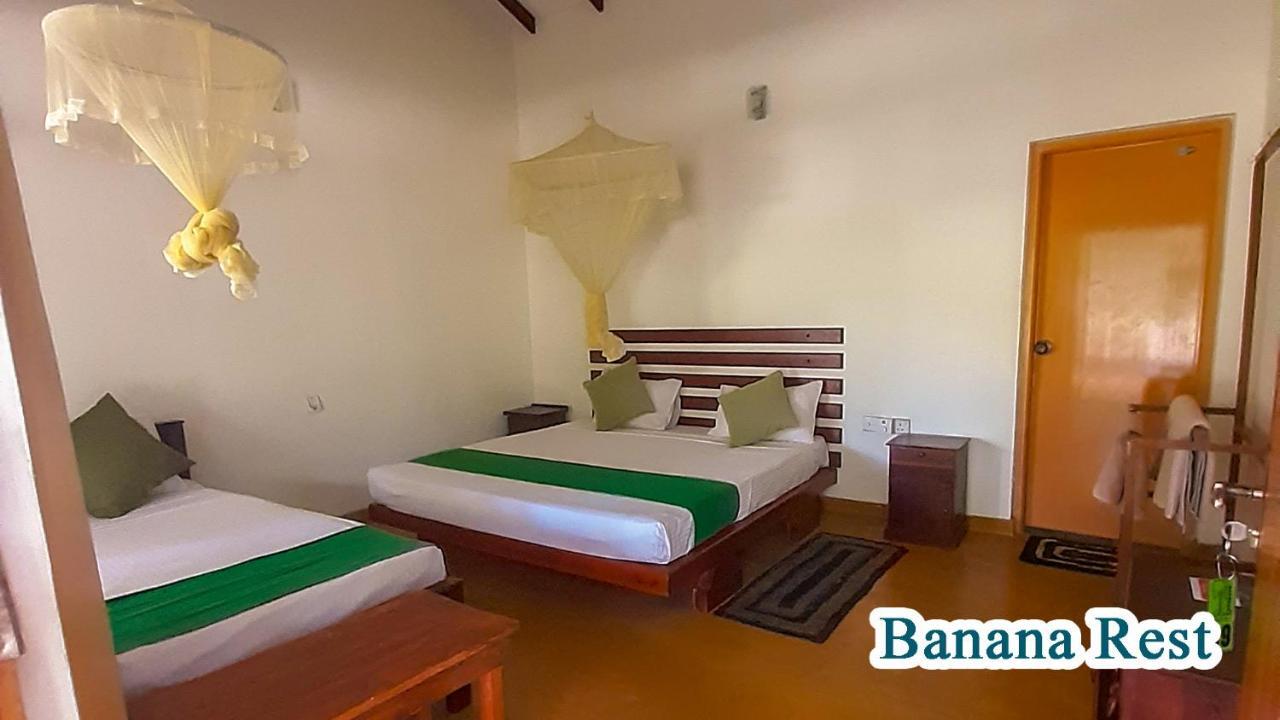 Banana Rest Sigiriya Bed & Breakfast Exterior photo